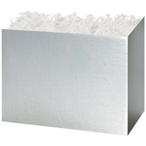 Solid Metallic Silver Large Basket Box