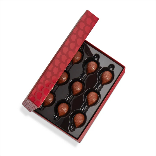 Esta Chocolates Hedgehog Hazelnut Truffles 90g 1