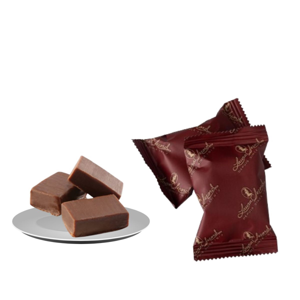 Laura Secord Choc Fudge Single Pack Gold 20g/0.7 oz 1